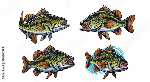Four illustrations of bass fish, two in the top row and two in the bottom row, with one on the bottom right having water ripples.