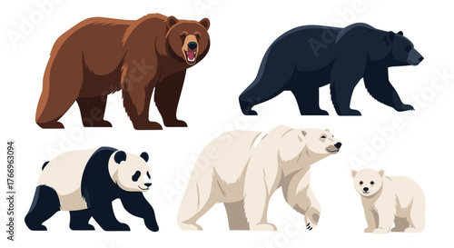 A collection of cartoon bears including brown, black, panda, and polar bears with a cub.