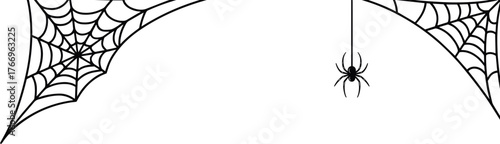 Delicate Spider Webs Vector Illustration with Fine Black Lines, Minimalistic Design, Realistic Structure, Intricate Details, Droplets, and Symmetrical Horizontal Composition for Nature and Halloween