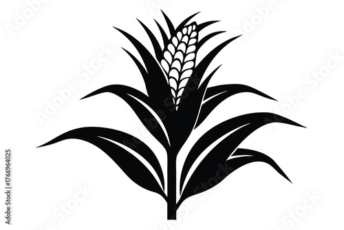 A monochrome maize plant shows its leaves and kernels in a bold, minimalist style