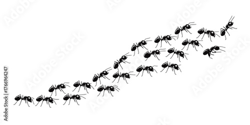 A line of ants marching in formation against a white background