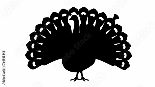 Silhouette of a peacock with its feathers fanned out in a striking display of elegance and beauty