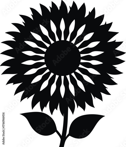 Close up of a tall mammoth sunflower head with bold layered petals isolated on white background isolated on transparent background