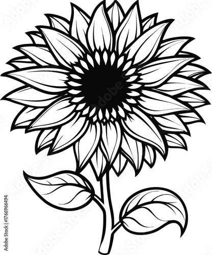 Close up of a tall mammoth sunflower head with bold layered petals isolated on white background isolated on transparent background