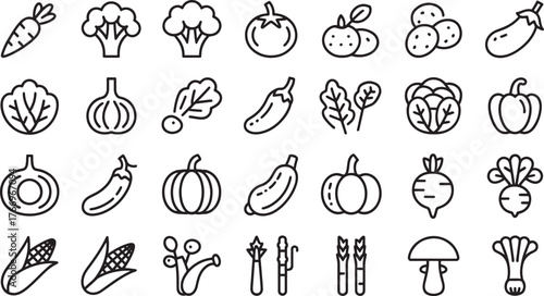 Collection of vegetable outline icons including carrot broccoli tomato potato eggplant lettuce onion salad pepper corn asparagus mushroom food vector