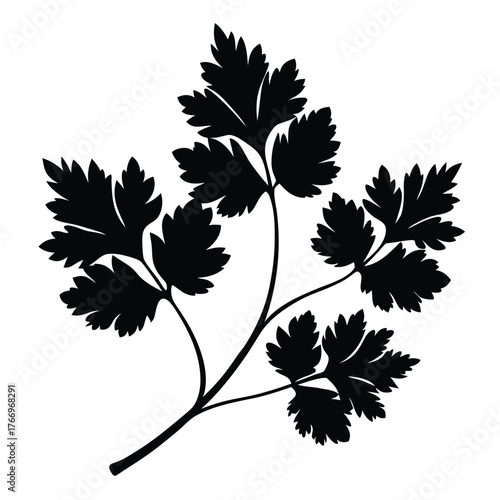 Black silhouette of a single parsley sprig against the blank background evokes culinary freshness
