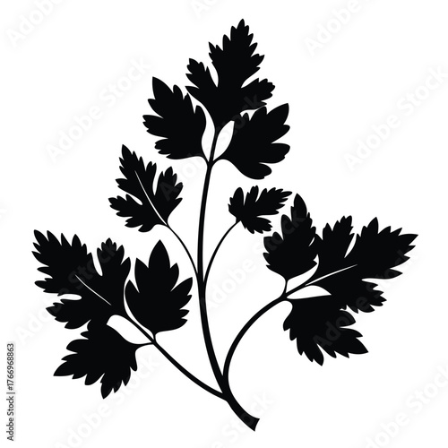 A sprig of parsley, beautifully silhouetted in black, brings an herbal touch