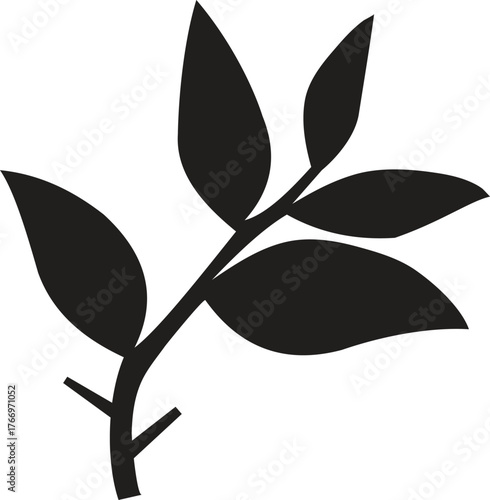 Minimalist silhouette of a botanical branch