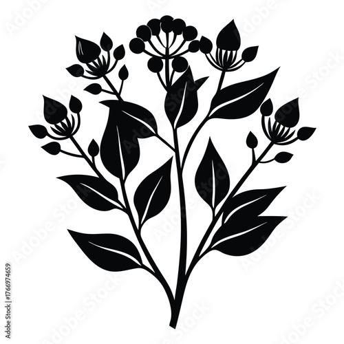 Botanical stencil displays delicate plant with leaves and cluster of small, round berries