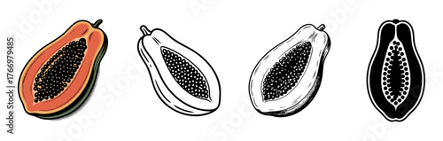 set of vector vintage papaya half illustrations, color and black and white, tropical fruit and healthy food
