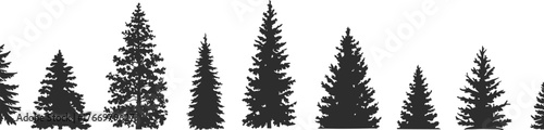 PrintConiferous tree silhouettes, evergreen forest shapes, botanical diversity, pine tree forms, nature illustration, forestry reference, symmetrical trees, isolated background