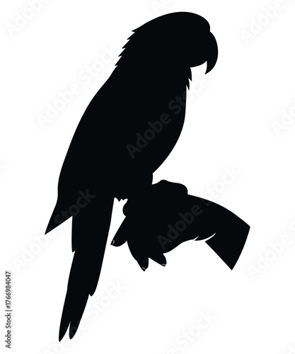 Parrot Silhouette Perched on Hand Vector Illustration.