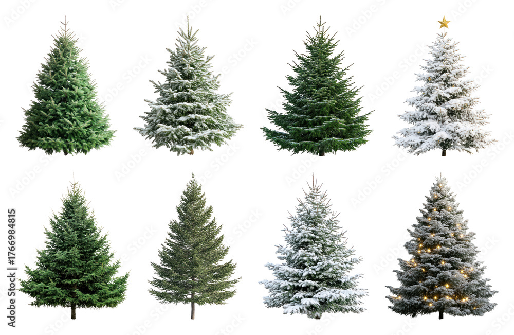 Fototapeta premium PNG Variety of decorated Christmas trees, element set on transparent background