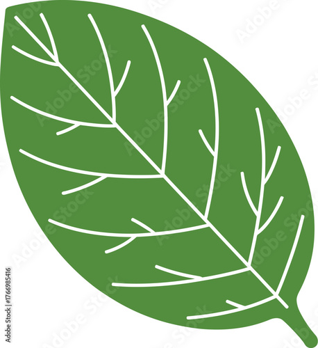 A single green leaf with visible veins is depicted in a stylized illustration.