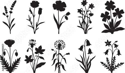 Flower and plant silhouette set for decorative vector design