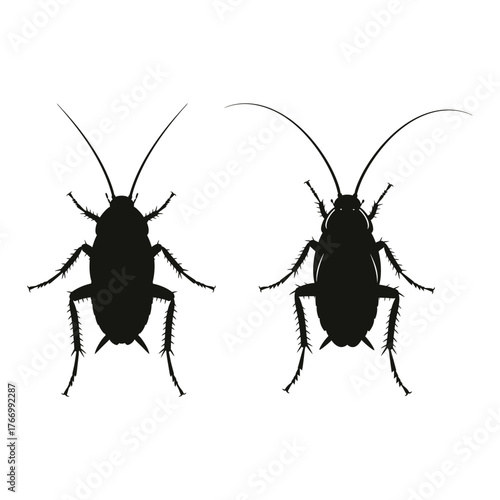 High contrast silhouette of a cockroach with visible antennae and legs detailed detail vector