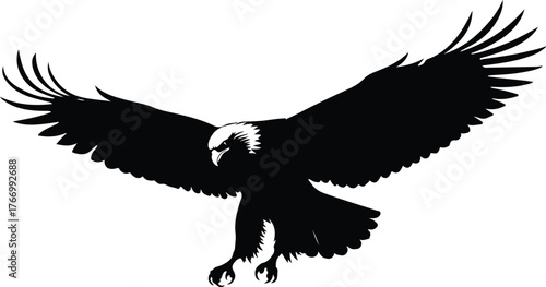 Silhouette of a bald eagle in flight, wings spread wide, isolated on white background