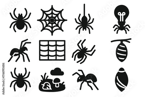Arachnid Iconography. Solid style icons of Arachnid inspiration: spider sketch, web pattern drawing, silk diagram, creative cloud,