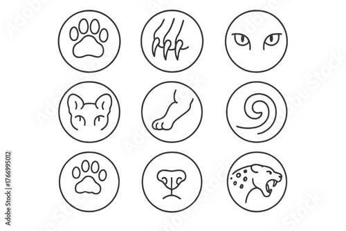 Leopard Anatomy Icons. Line style icons of leopard anatomy in round shape: leopard paw, leopard claws, leopard eyes, leopard ears;