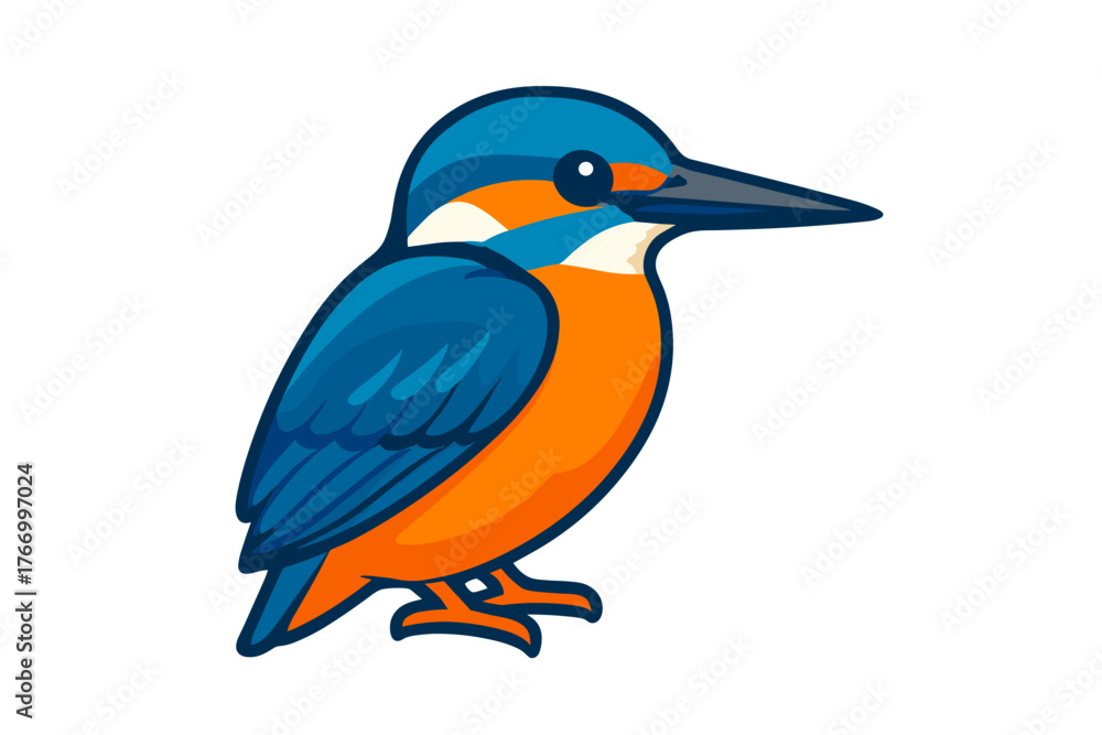 Fototapeta premium Vector Illustration of a Kingfisher Bird