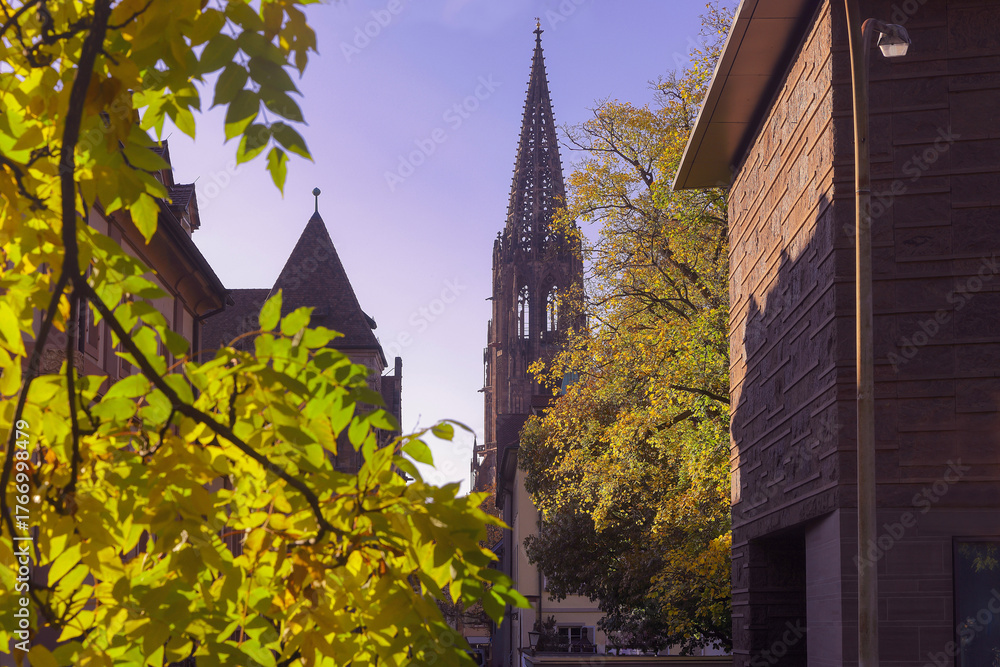 Obraz premium Freiburg im Herbst