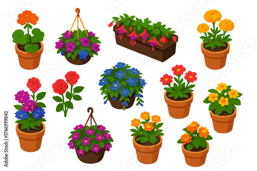 Bright Floral Vectors. Isometric vector illustration set Various Flowers: potted geranium, hanging petunia, balcony fuchsia,