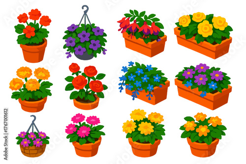 Bright Floral Vectors. Isometric vector illustration set Various Flowers: potted geranium, hanging petunia, balcony fuchsia,