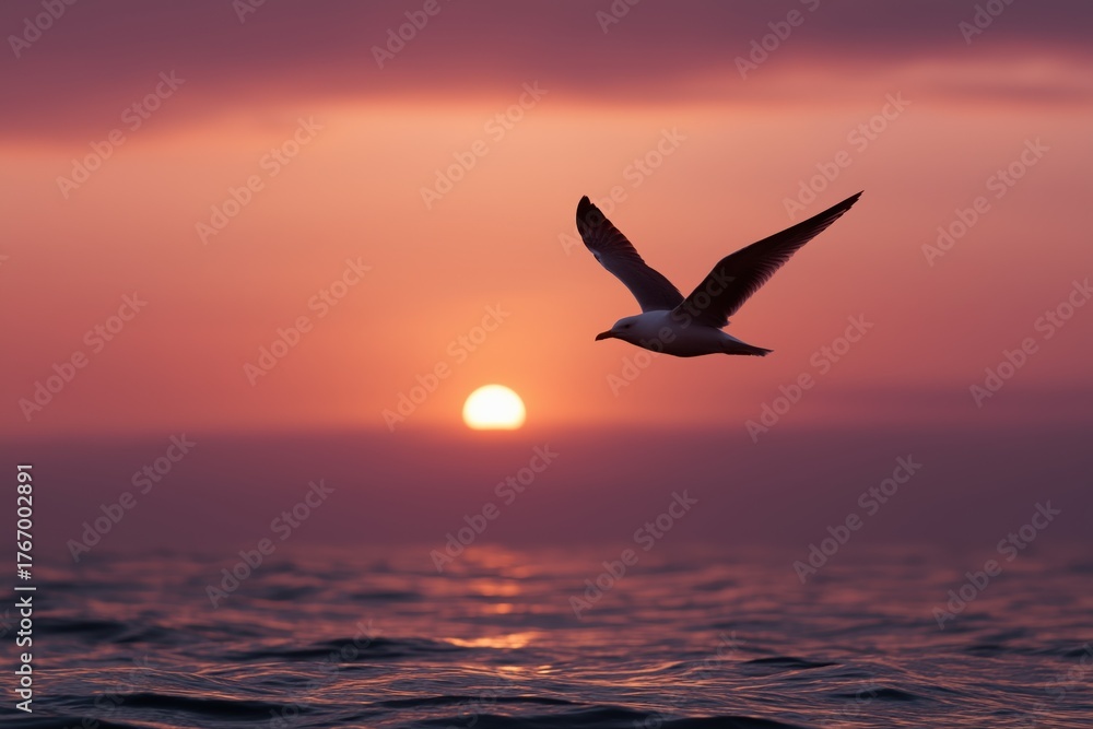 Fototapeta premium Silhouette of bird in flight at sunset over ocean horizon