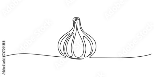Elegant continuous line art drawing of a garlic bulb with simple flowing lines creating a modern artistic representation vector