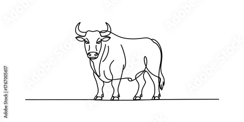 Bold continuous line art drawing of a standing bull majestic bovine animal sketch vector
