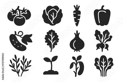 Edible Plant Icons. Solid style icons of Edible Plants: tomato cluster, lettuce head, carrot root, green pepper, cucumber vine,