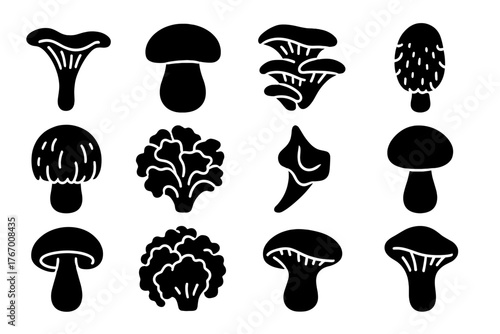 Wild Mushroom Icons. Solid style icons of Edible wild mushrooms: chanterelle, porcini, oyster mushroom, shaggy mane, lion’s mane,