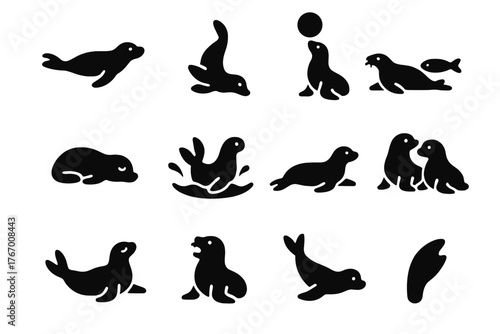 Seal Activity Icons. Solid style icons of Seal Activities: Swimming, Diving, Balancing, Hunting, Sleeping, Splashing, Resting,