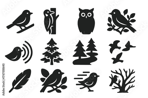 Forest Bird Icons. Solid style icons of Forest Birds: songbird on branch, woodpecker trunk, owl silhouette, warbler in bush, bird