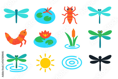 Dragonfly Icon Set. Flat vector icons of Dragonfly: wings, pond, nymph, flight, larva, water lily, reed, insect, reflection,