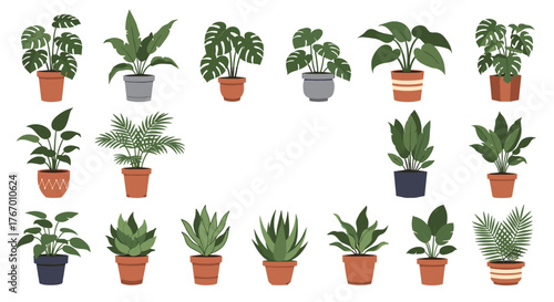 A variety of potted houseplants in different styles of pots on a white background.