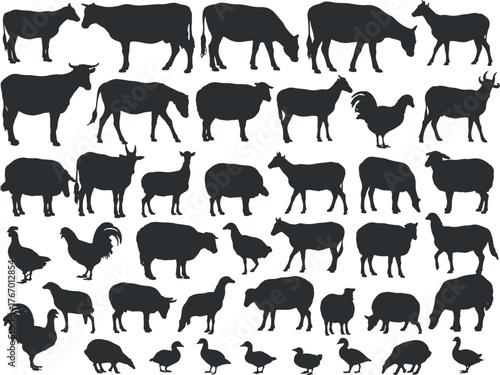 Farm Animal Silhouette Collection | Set of Various Livestock Silhouettes Isolated on White Background | Cow, Chicken, Pig and Goat Vector for Design and Illustration