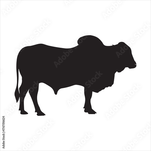 Brahman Cow Silhouette, Brahman Bull silhouette vector, cow icon