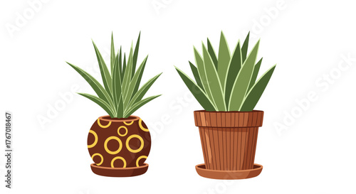 Stylized illustration of two potted houseplants, one in a patterned brown pot and the other in a classic terracotta pot, on a white background.