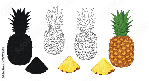 Illustrations showing artistic progression of whole pineapples and slices, from black silhouette and detailed line art to a vibrant colored design.