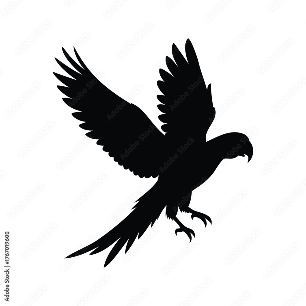 Fototapeta premium Detailed silhouette of a parrot flying with wings spread wide open, descending, parrot flying silhouette vector illustration
