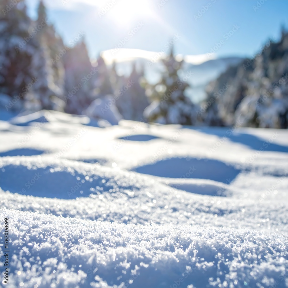 Obraz premium Close-up snow, sun shining, trees blurred in background, winter scene