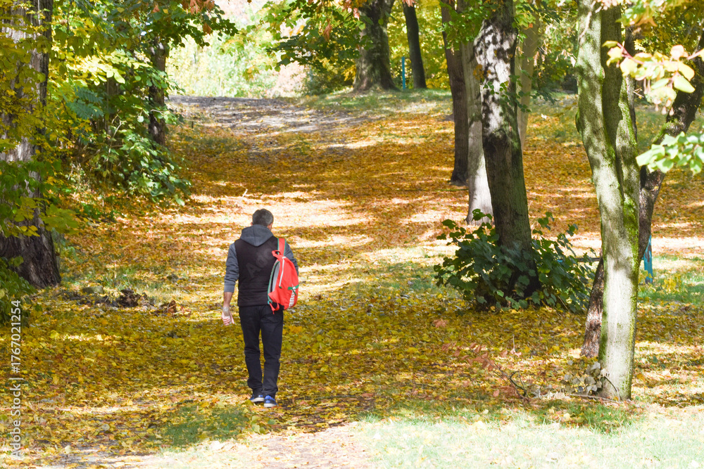 Fototapeta premium Man walking alone on a forest path in autumn 