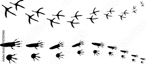 Animal Tracks and Footprints Set – Toad, Mouse, Chicken and Paw Print Paths, Hand Drawn Trail and Nature Track Icons Vector