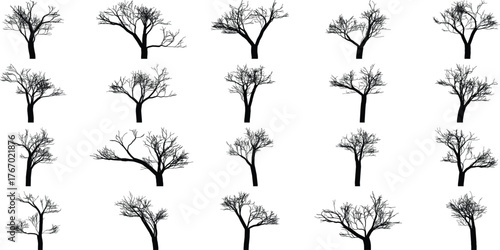 Slika na platnu Collection of distinct bare trees silhouettes isolated on white for nature desig