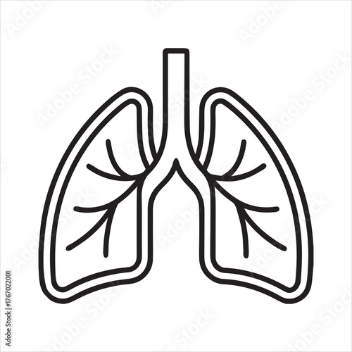 Human lungs line art vector illustration, lungs out line icon