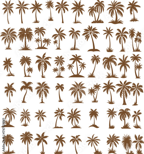 Plam tree vector bundle design