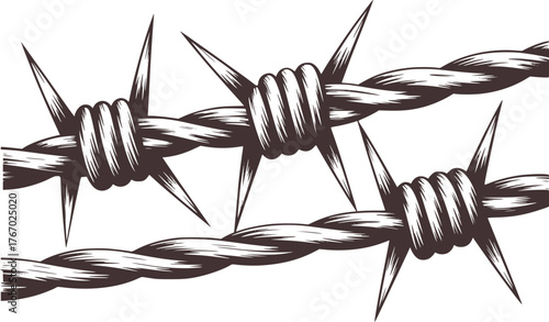 Barbed wire illustration sharp spikes dark brown vector