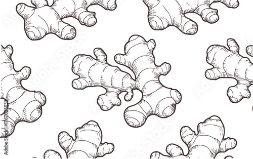 Black and white ginger root illustration spice food