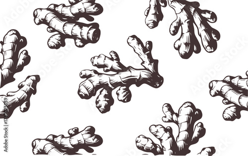 Black and white illustration of ginger roots spice food